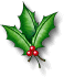 holly berries and leaves